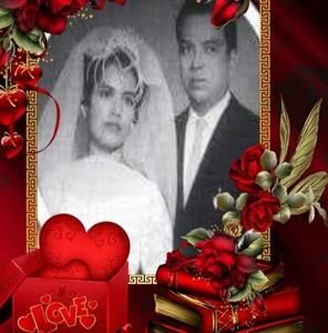 Meet your Posher, Sylvia